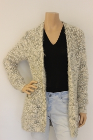 Grijs/roomwit/goud vest