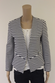 Blauw/wit jasje